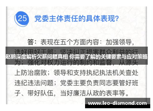 赵鹏深度解析欠薪问题真相 你需要了解的关键要素与应对策略